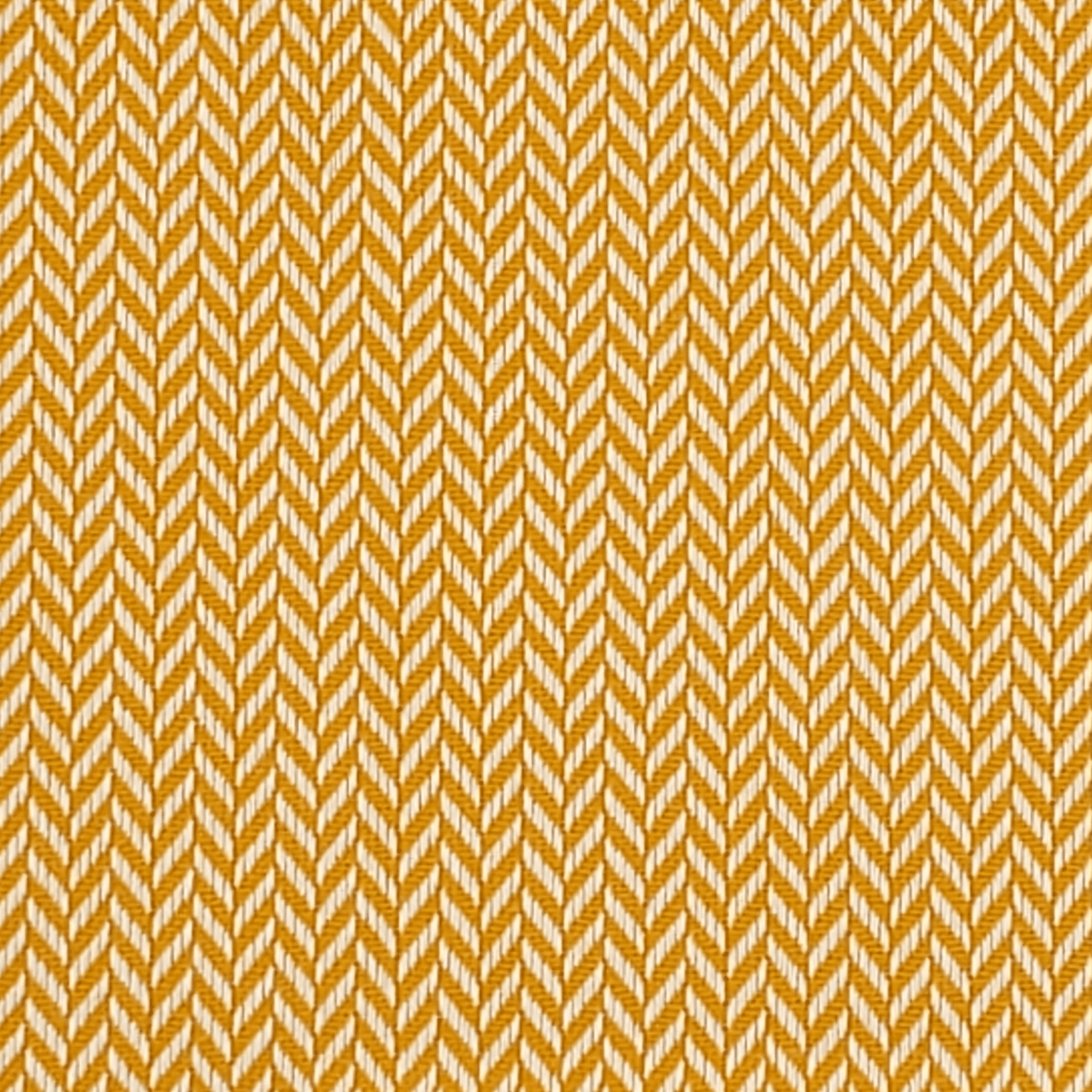 Cambridge - Tangerine